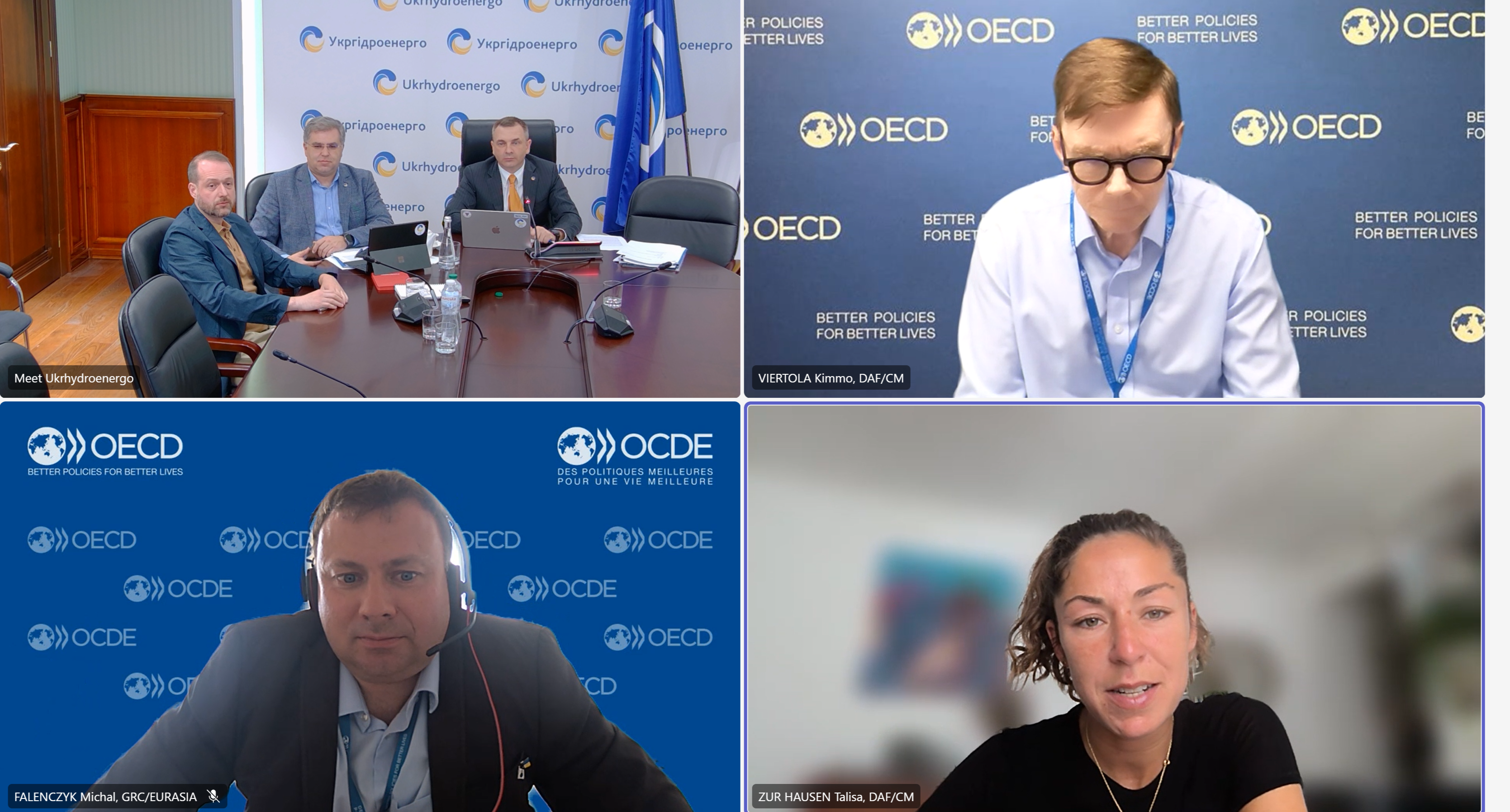 Ukrhydroenergo held online meeting with OECD representatives