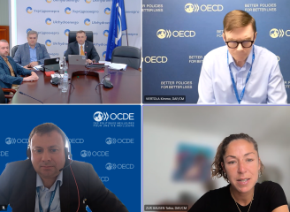 Ukrhydroenergo held online meeting with OECD representatives